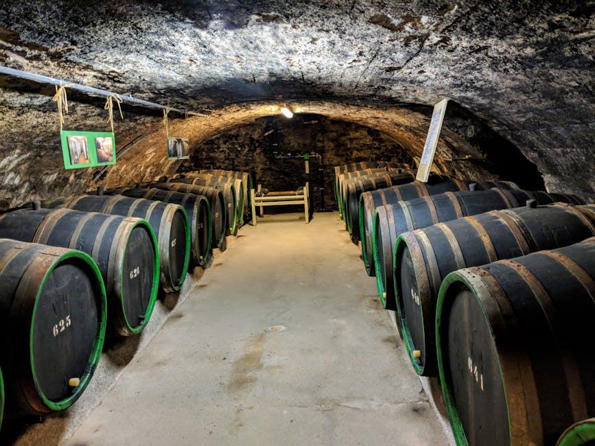 Climatisation cave à vin : température et hygrométrie maîtrisées